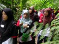 Tn 0977 DSC00152